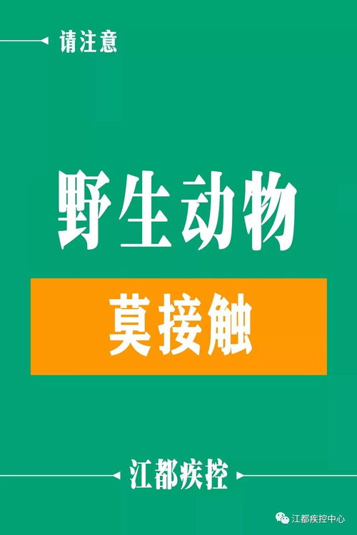 江都疾控新春健康提示 健康过新年，热线伴您行