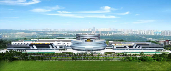 南方黑芝麻荣膺尚普咨询集团多项市场地位声明，引领健康食品行业新标杆